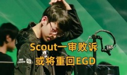 沈猛爆料佬哥视频大全,佬哥视频大全揭秘幕后真相