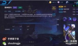 六哥哥王者爆料视频,独家内幕大公开！